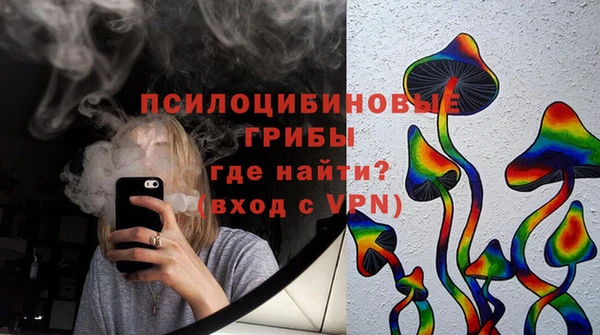 ГАЛЛЮЦИНОГЕННЫЕ ГРИБЫ Гусев