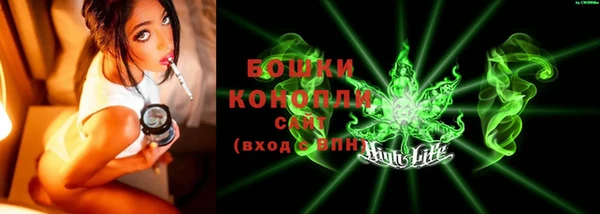 ГАЛЛЮЦИНОГЕННЫЕ ГРИБЫ Гусев