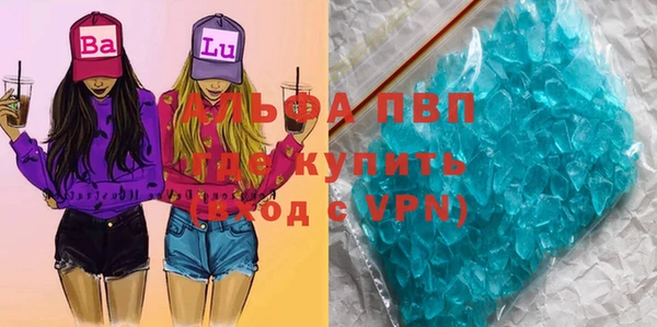 ГАЛЛЮЦИНОГЕННЫЕ ГРИБЫ Гусев