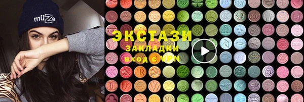 ГАЛЛЮЦИНОГЕННЫЕ ГРИБЫ Гусев