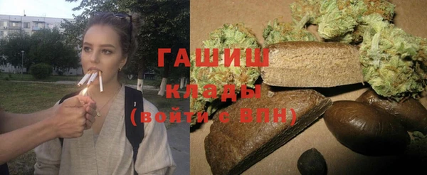 ГАЛЛЮЦИНОГЕННЫЕ ГРИБЫ Гусев