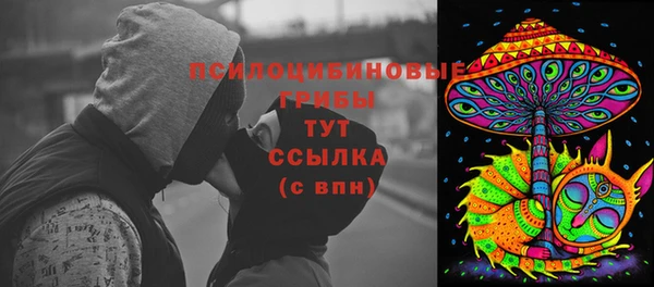 ГАЛЛЮЦИНОГЕННЫЕ ГРИБЫ Гусев