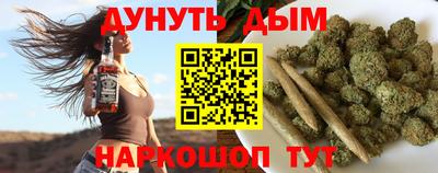 сатива Новозыбков