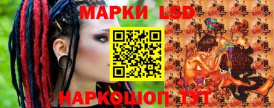 дмт Новокубанск