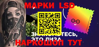 дмт Новокубанск