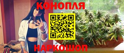 дмт Новокубанск