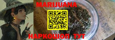 сатива Новозыбков