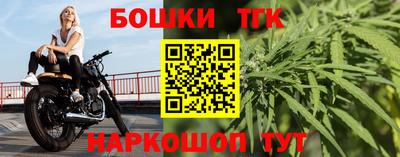 сатива Новозыбков