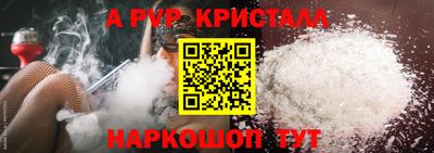 сатива Новозыбков