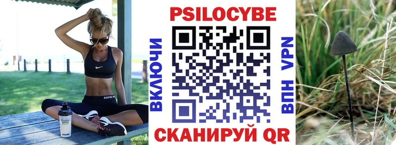 omg зеркало где продают наркотики Славянск-на-Кубани Псилоцибиновые грибы ЛСД