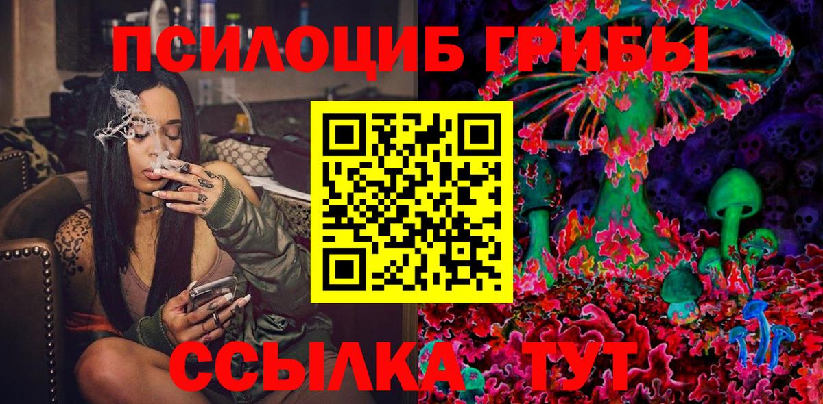 Славянск-на-Кубани  Псилоцибиновые грибы Psilocybine cubensis  Галлюциногенные грибы MAGIC MUSHROOMS  Вход с VPN 